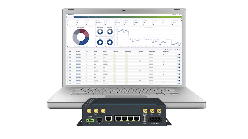 Secure remote management software for router series.